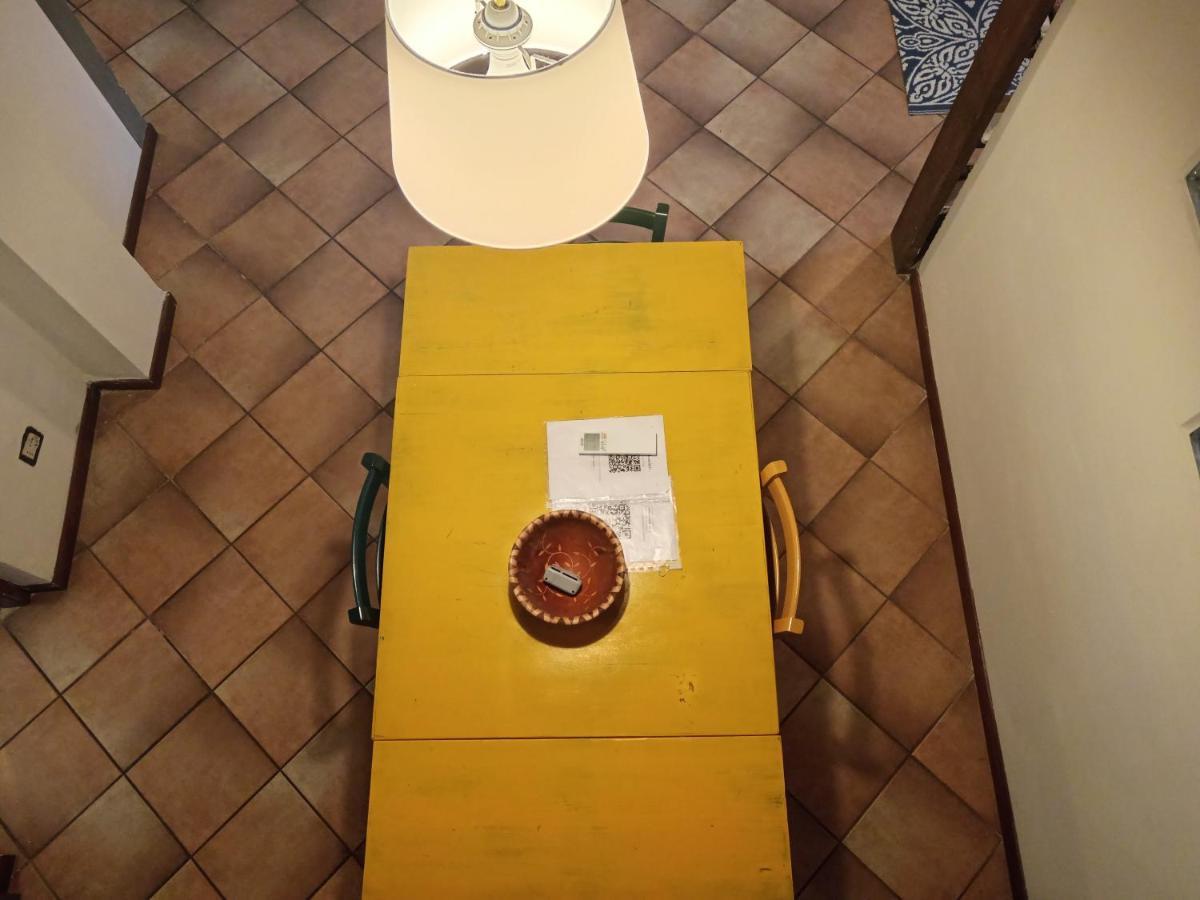 Maioliche Cozy Apartment ピサ エクステリア 写真