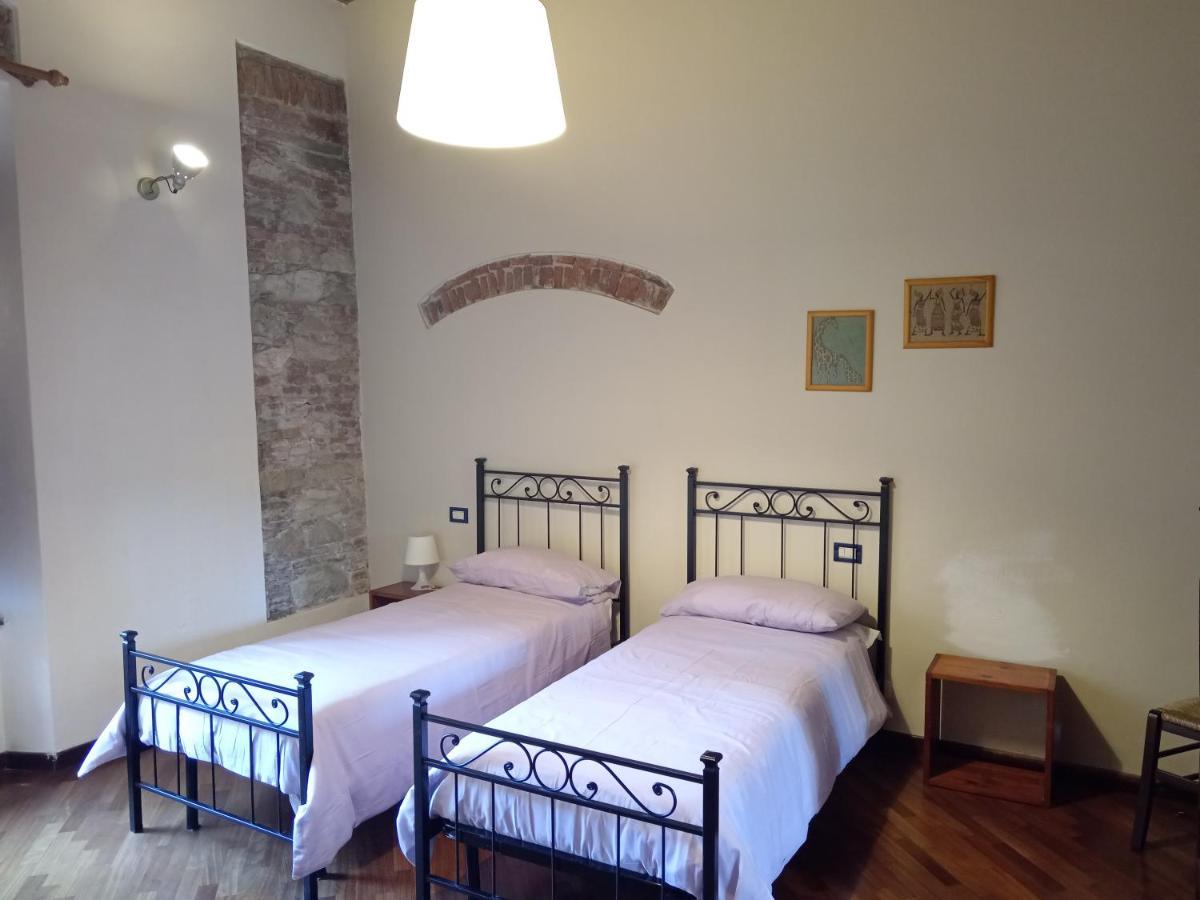 Maioliche Cozy Apartment ピサ エクステリア 写真
